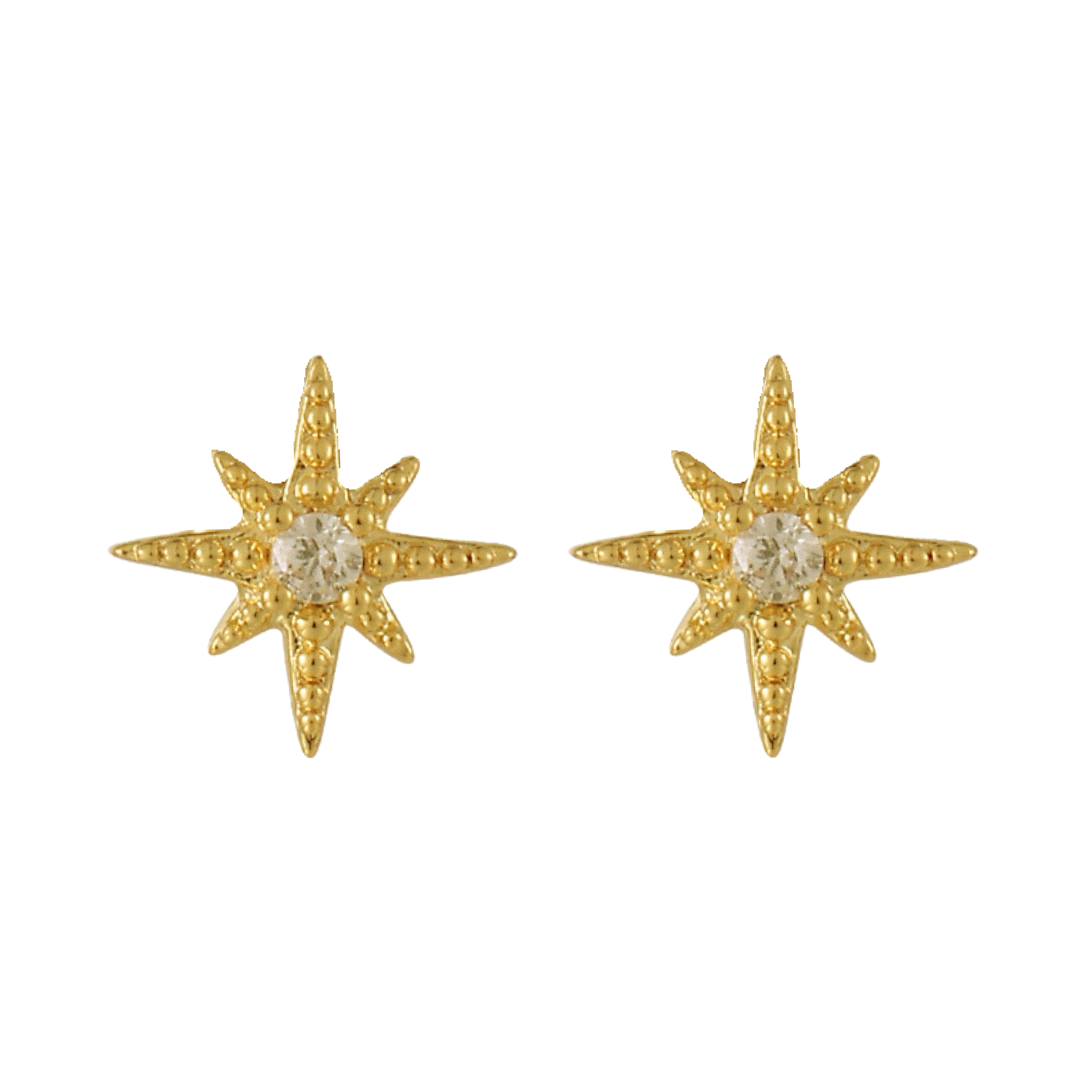 Radiant Star Earrings - EVRYJEWELS